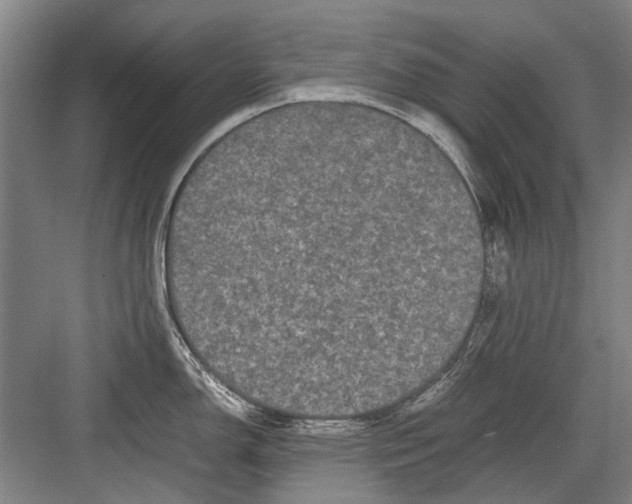 X0000082201150200702170012