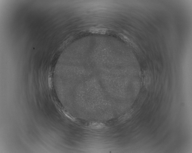 X0000082201154200702170011