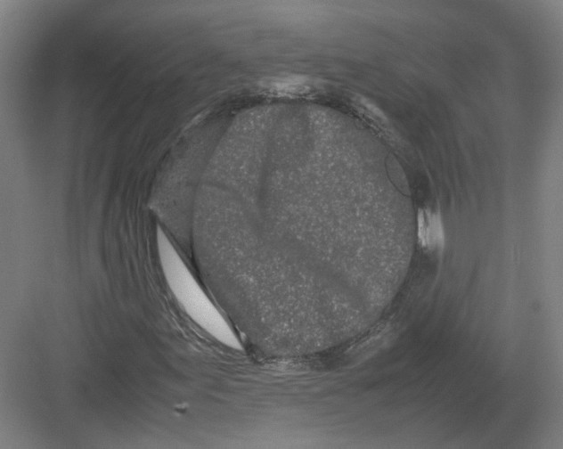 X0000082201155200702170011