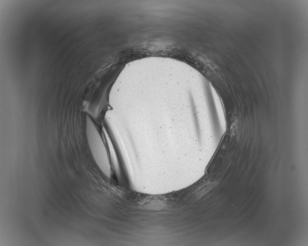 X0000082201156200702170011