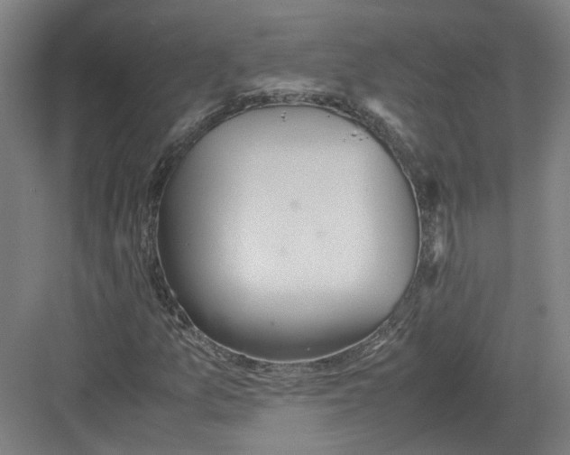 X0000082201157200702170011