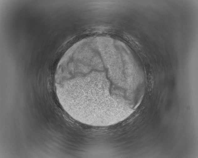 X0000082201158200702170011