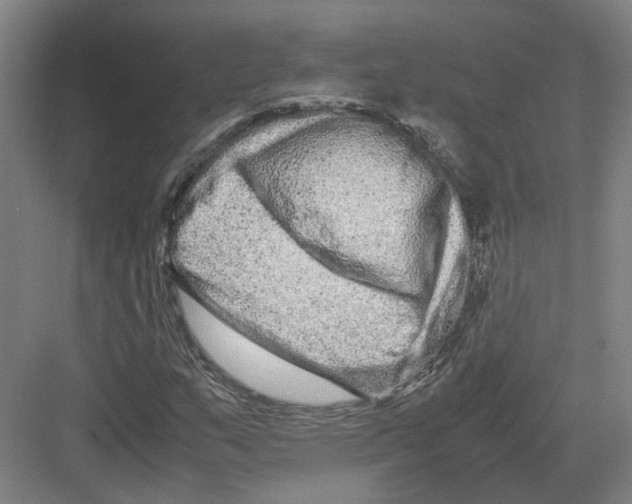 X0000082201159200702170011