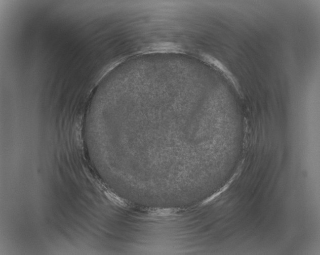 X0000082201162200702170011