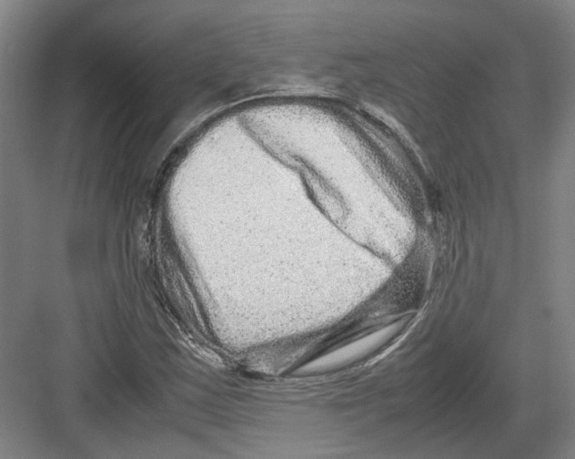 X0000082201163200702170011