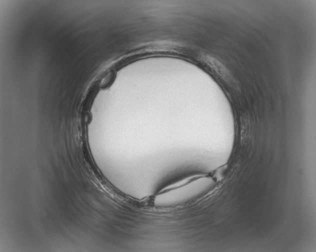 X0000082201164200702170011