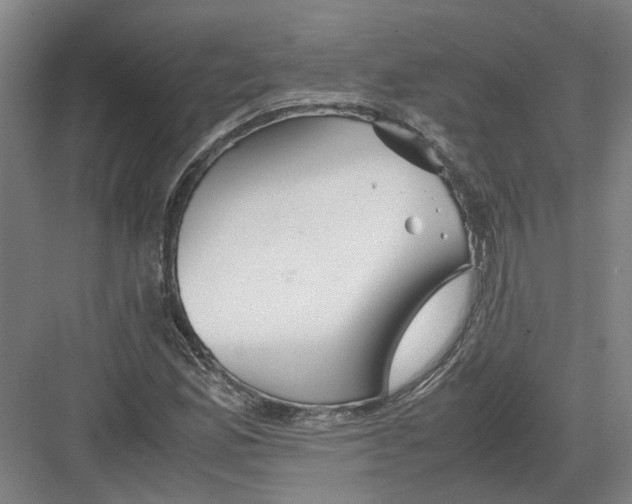 X0000082201165200702170011