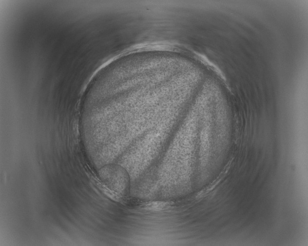 X0000082201166200702170011