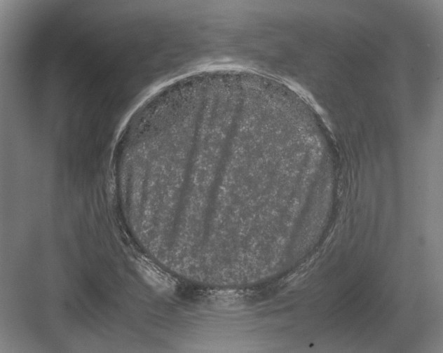 X0000082201167200702170011