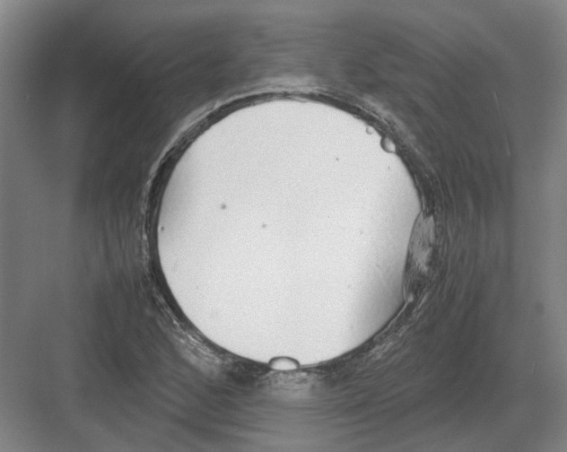 X0000082201168200702170011