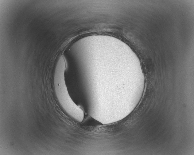 X0000082201169200702170011