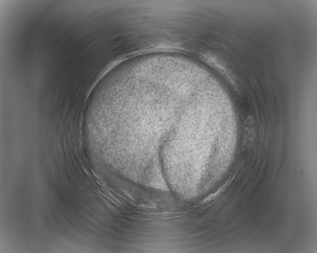 X0000082201170200702170010