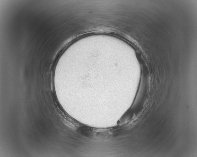 X0000082201171200702170010