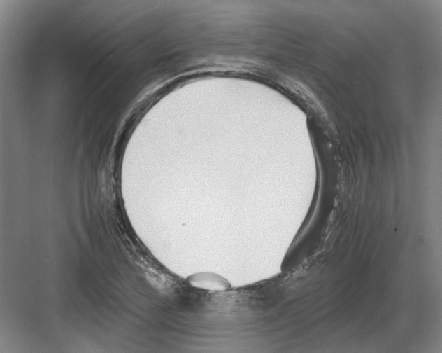 X0000082201172200702170010