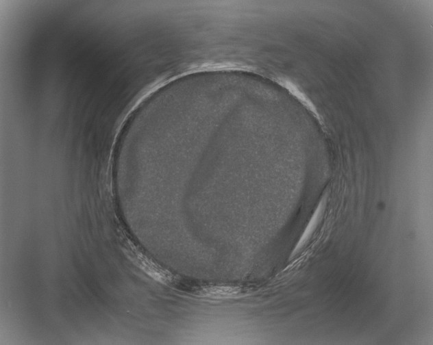 X0000082201173200702170010