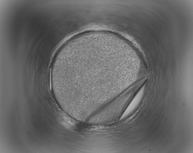 X0000082201175200702170010