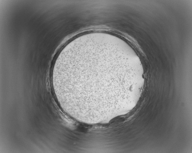 X0000082201176200702170010