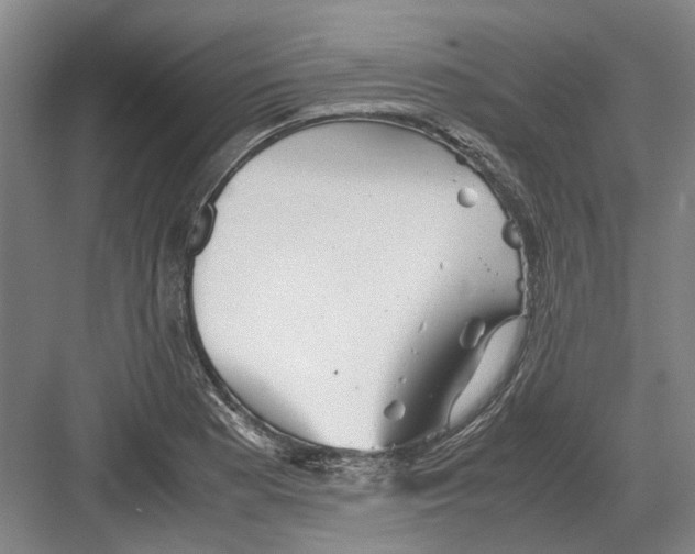 X0000082201177200702170010