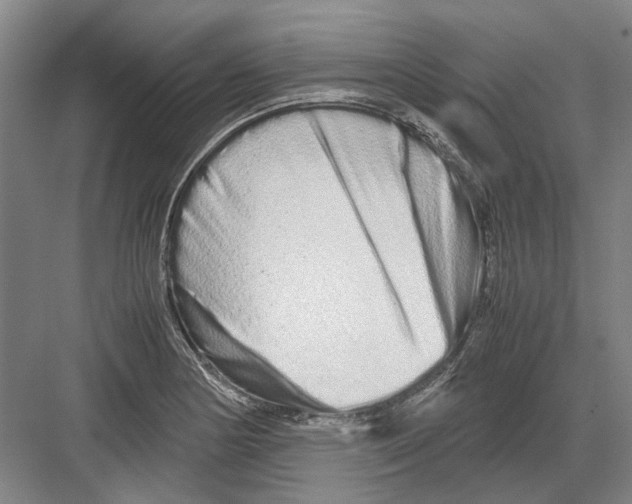 X0000082201178200702170010