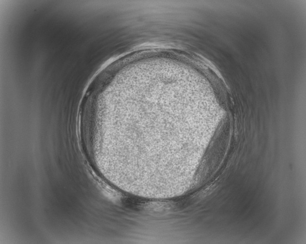 X0000082201179200702170010