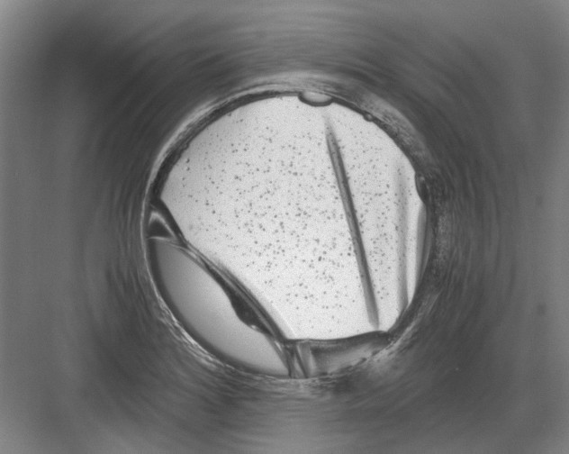 X0000082201180200702170010