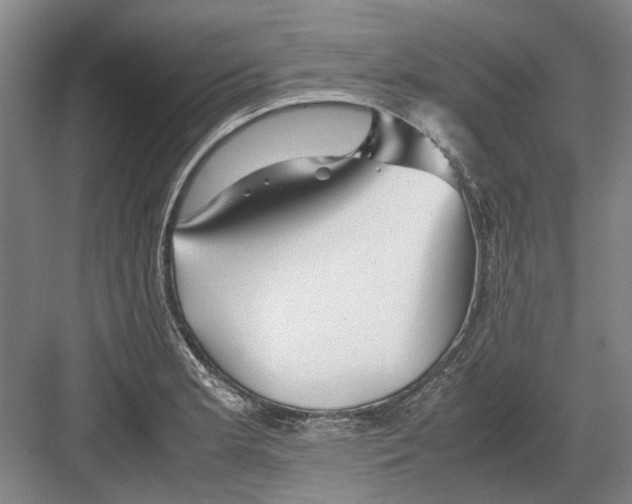 X0000082201181200702170010