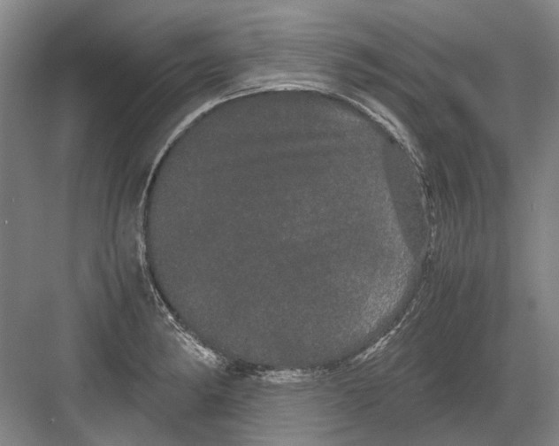 X0000082201182200702170010