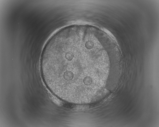 X0000082201183200702170010