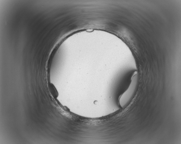 X0000082201184200702170010