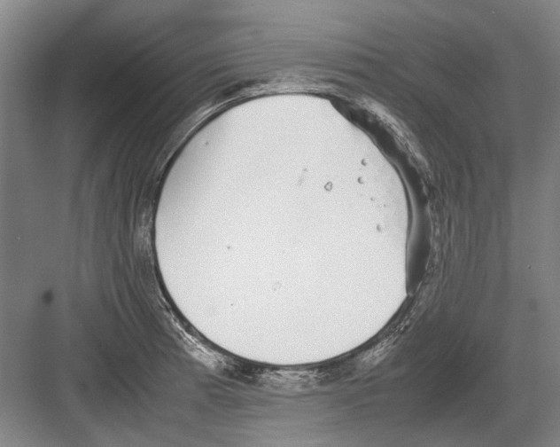 X0000082201185200702170010