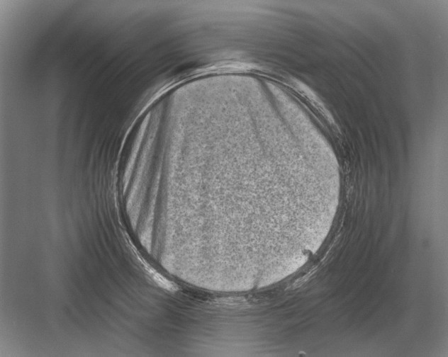 X0000082201186200702170010