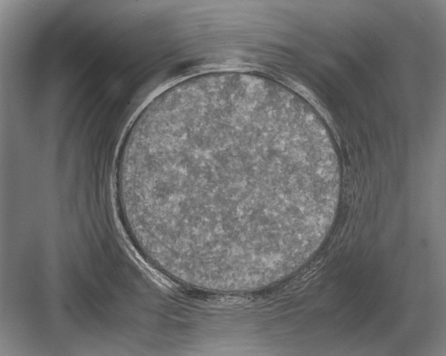 X0000082201187200702170010