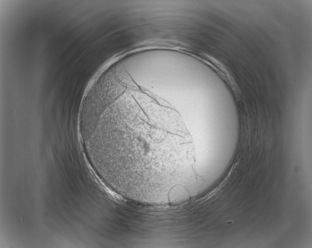 X0000082201188200702170010