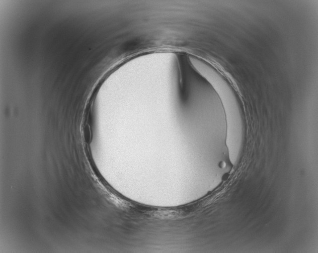 X0000082201189200702170010