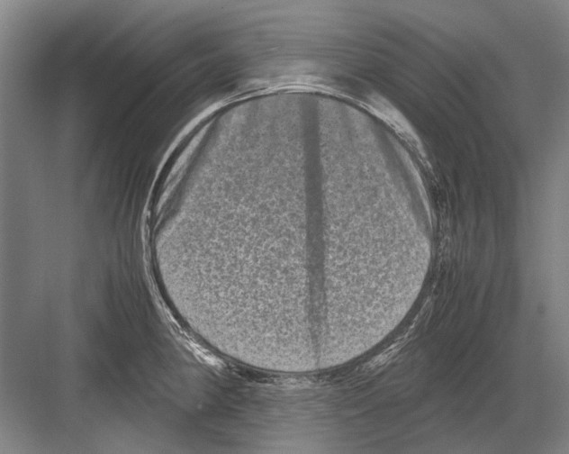 X0000082201190200702170010