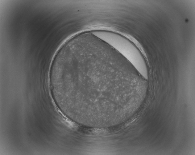 X0000082201191200702170010