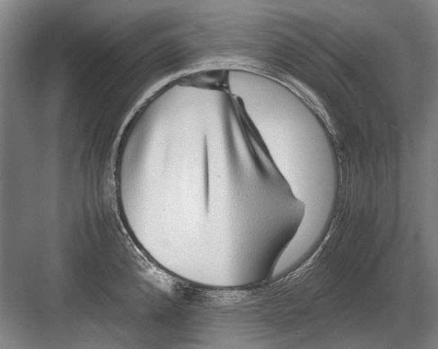 X0000082201192200702170010