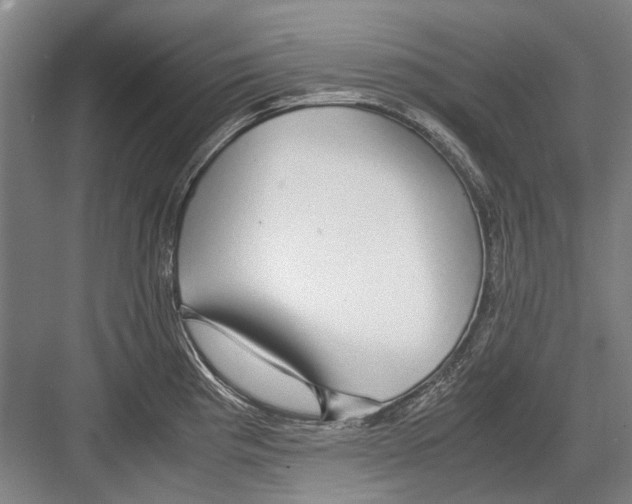 X0000082201193200702170010