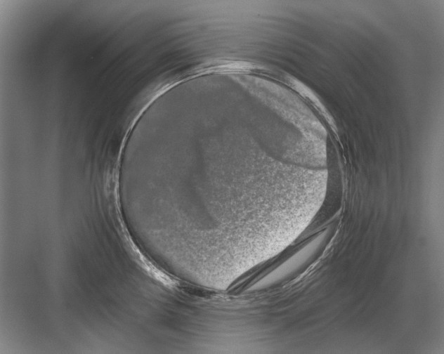 X0000082201194200702170010