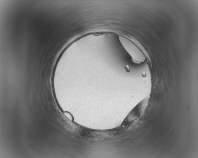 X0000082201197200702170010