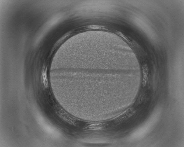 X0000082201198200702170010