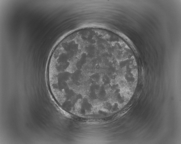 X0000082201199200702170010