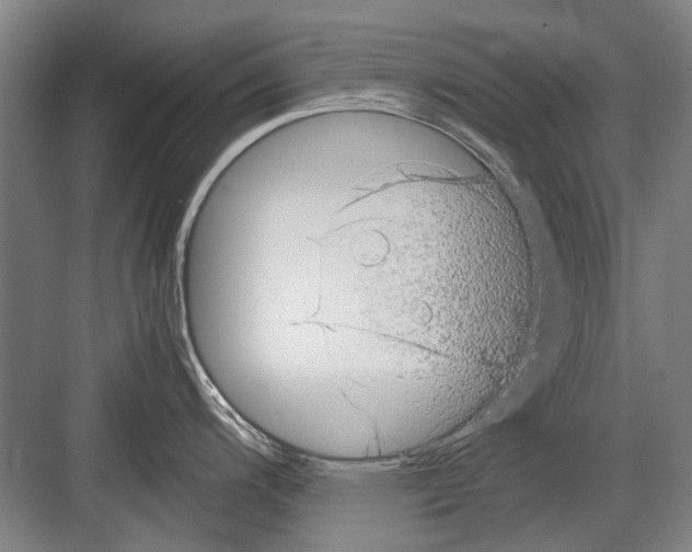 X0000082201200200702170010