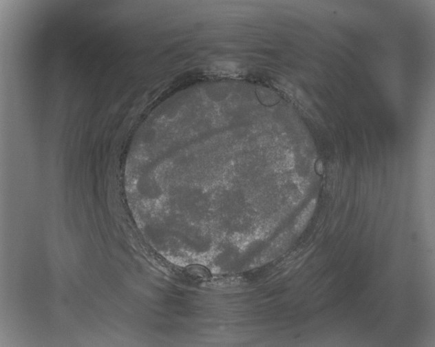 X0000082201201200702170009