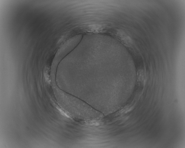 X0000082201202200702170009