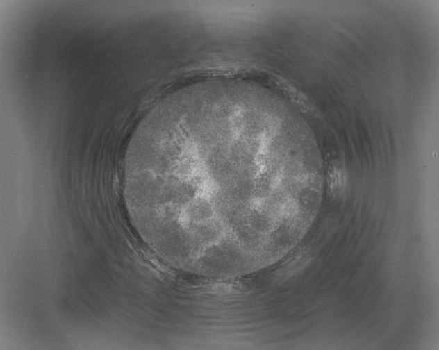 X0000082201204200702170009