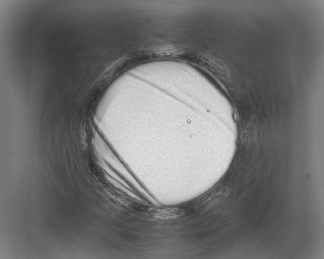 X0000082201205200702170009