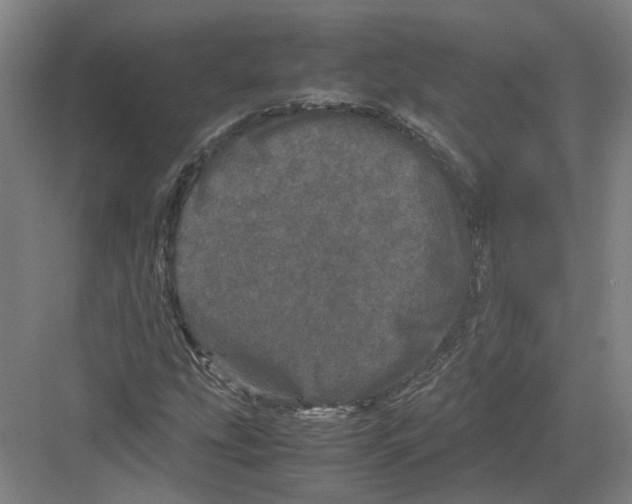 X0000082201207200702170009