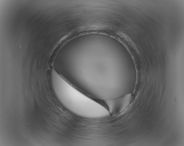 X0000082201210200702170009