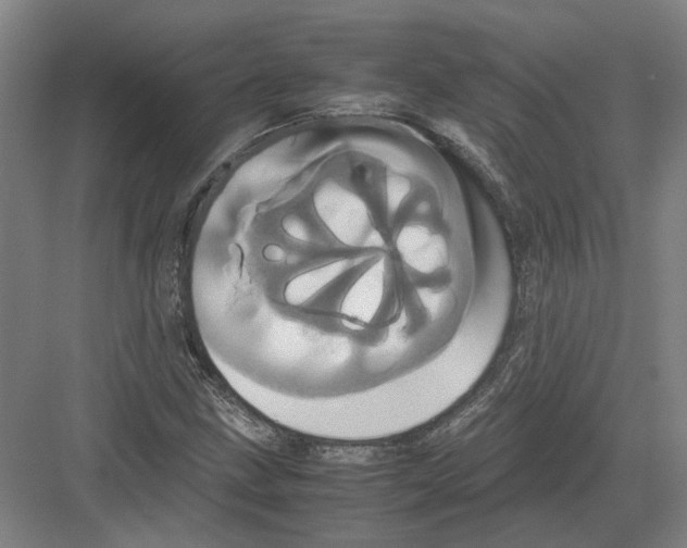 X0000082201211200702170009